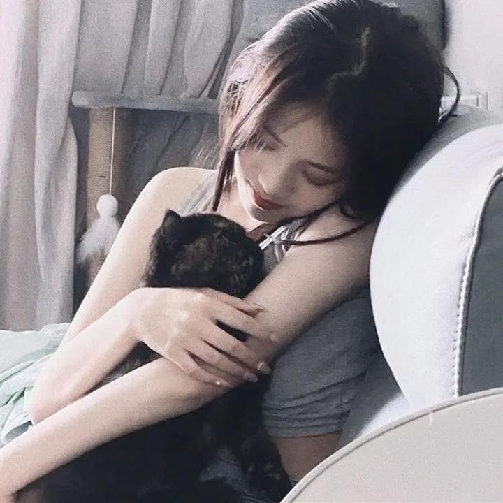 猛虎末路海报