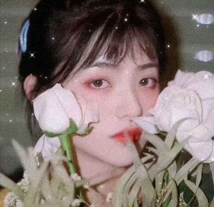 演员照片